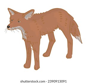 Cartoon clipart of cute fox. Doodle of forest wild animal. Vector illustration isolated on white background.