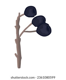 Cartoon clipart of twig with berry. Doodle of autumn harvest. Contemporary vector illustration isolated on white background.