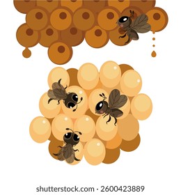 Cartoon close up stingless beehive and honey