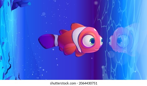 Cartoon clown fish look on reflection it water surface undersea view. Anemone tropical underwater creature with stripes on body and bulging forehead, aquarium or marine habitat, Vector illustration