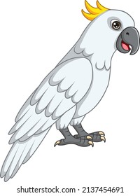 Cartoon cockatoo bird on white background