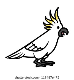 Cartoon Cockatoo Vector