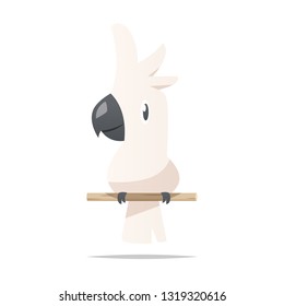 Cartoon cockatoo vector isolated illustration