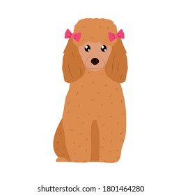 cartoon cocker spaniel dog icon over white background, flat style, vector illustration