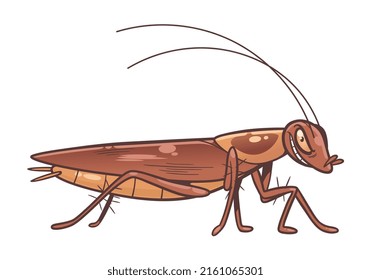Cucaracha de dibujos animados en la ilustración del vector de fondo blanco.