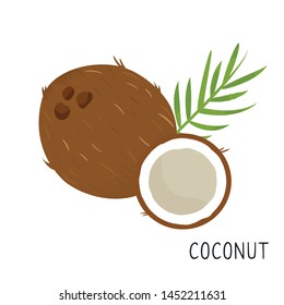 Cartoon coconut isolated on white background.