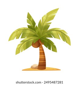 Palmera de coco de dibujos animados sobre fondo blanco. Icono de Vector de verano, planta aislada