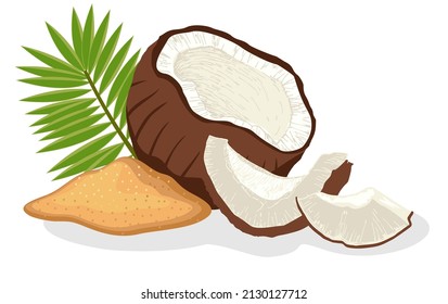 Cartoon coconut sugar. Food sweetening, gourmet nutrition, palm leaf, vector illustration isolated on white background. Brown sugar with coconut on white background