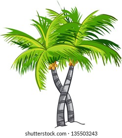 Cartoon coconut tree.