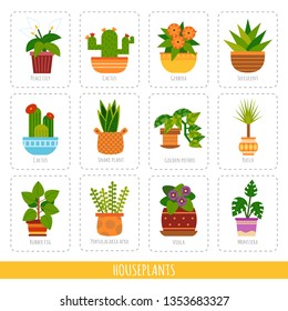 Cartoon collection of the different houseplants. Vector set of colorful cards for the learning of plant species