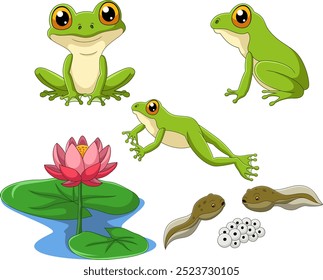 Cartoon collection of frog life