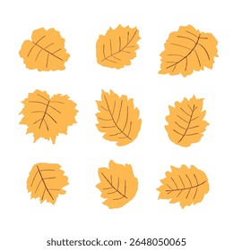 Cartoon collection of various yellow leaves for autumn season decoration vector illustration