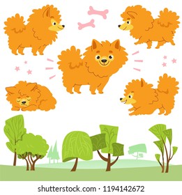 Cartoon collection of walking dogs in the park: Pomeranian Spitz. Vector illustration. Isolated on white background.