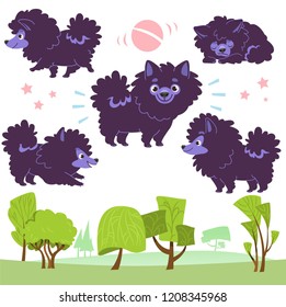 Cartoon collection of walking dogs in the park: pomeranian Spitz. Vector illustration. Isolated on white background.