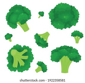 Cartoon Color Broccoli Icon Set Flat Design Style Fresh Vegetable Healthy Nutrition Concept . Vector illustration of Icons