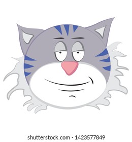 Cartoon color cat face. Emotion