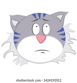 Cartoon color cat face. Sad