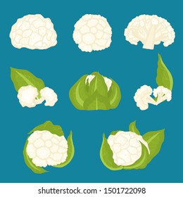 Cartoon Color Cauliflower Cabbage Icon Set Raw Fresh Organic Food Concept Flat Design. Vector illustration of Icons