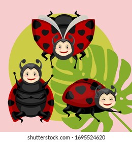 Cartoon Color Character Different Ladybird Beetle Set Concept Flat Design Style. Vector illustration of Insect Ladybug