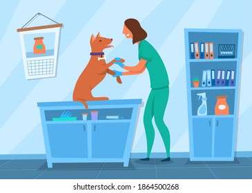 Cartoon Color Character Person Girl and Veterinary Concept Flat Design Style. Vector illustration of Dog and Veterinarian