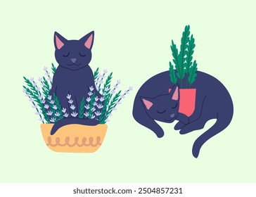 Cartoon Color Characters Cats with House Plant in Pot Set Concept Flat Design Style. Vector illustration of Kitten Sleep