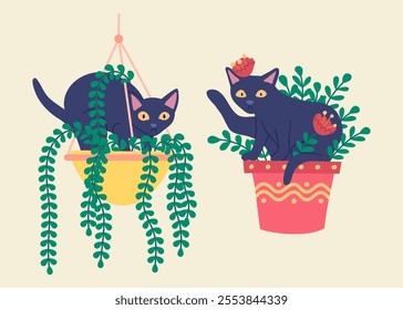 Cartoon Color Characters Cats in Pots with Fern and Plant Flowers Box Set Concept Flat Design Style. Vector illustration