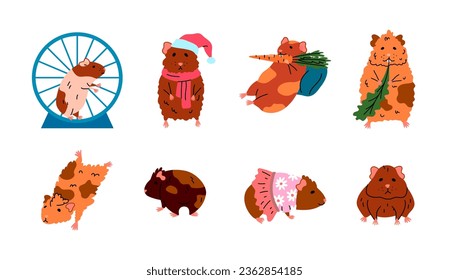 Cartoon Color Characters Cute Funny Guinea Pigs Set Concept Flat Design Style. Vector illustration of Rodent Eating and Posing