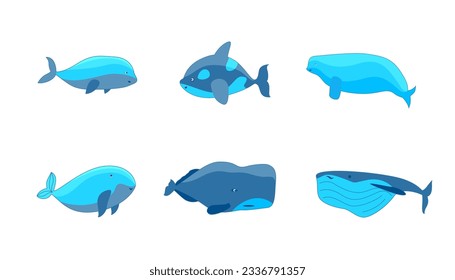 Cartoon Color Characters Cute Whales Set Concept Flat Design Style. Vector illustration of Underwater Blue Whale