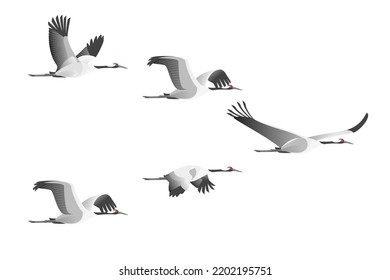 Cartoon Color Characters Flight of Cranes Set Asian Flying Bird Concept Flat Design Style. Vector illustration