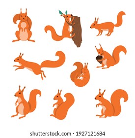 Cartoon Color Characters Squirrels Icons Set Concept Flat Design Style. Vector illustration of Character Mascot Squirrel