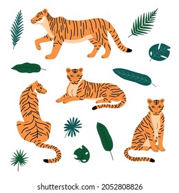 Cartoon Color Characters Tigers with Tropical Leaves Set Flat Design Style. Vector illustration of Wild Animal Tigers
