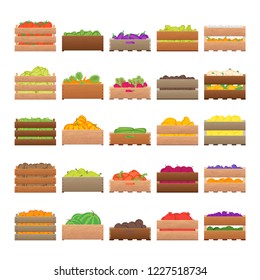 Cartoon Color Crates Fresh Fruits Sign Icon Set Include of Apple, Cabbage and Pepper. Vector illustration of Icons