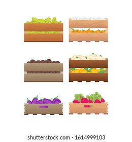 Cartoon Color Crates Fresh Fruits and Vegetables Sign Icon Set . Vector illustration of Icons