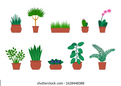 Cartoon Color Different Flowers and Plants in Pots Icon Set Include of Cactus and Orchid. Vector illustration of Icons