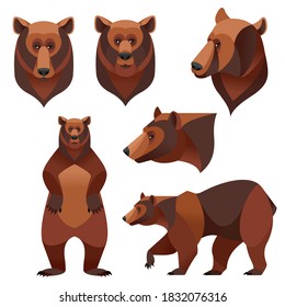 Cartoon Color Different Grizzly Bears Icons Set Flat Design Style Wild Animal. Vector illustration of Bear Icon