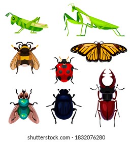 Cartoon Color Different Insects Icons Set Flat Design Style Include of Ladybug, Bee and Butterfly. Vector illustration