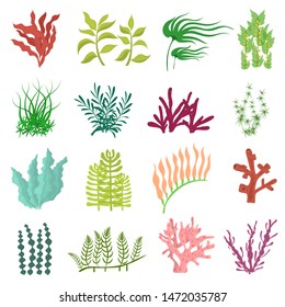 Cartoon Color Different Seaweed Icon Set Underwater Plant Concept Flat Design. Vector illustration of Aquarium Algae Icons