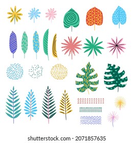 Cartoon Color Different Tropical Leaves Abstract Icons Set Flat Design Style. Vector illustration of Floral Leaf