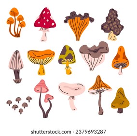Cartoon Color Different Types Forest Abstract Mushroom Icon Set Concept Flat Design Style. Vector illustration of Poisonous and Edible Mushrooms