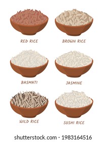 Color de caricatura Diferentes tipos de arroz en bolas Set de Concepto Estilo de diseño plano Incluye Basmati, para Sushi y Jasmine. Ilustración del vector