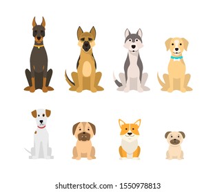 Cartoon Color Dog Breeds Icon Set Include of Doberman, Husky and Corgi. Vector illustration of Icons Sitting Pet