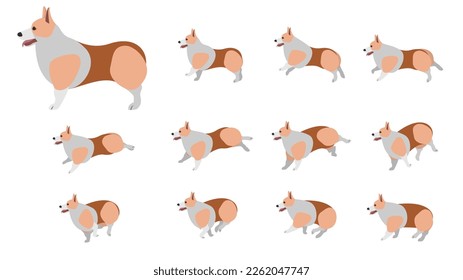 Color de dibujos animados Perro galés Corgi Pembroke Efecto Animación Animal Set Concepto Estilo Diseño Plano. Ilustración del vector