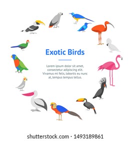 Cartoon Color Exotic Bird Banner Card Circle Wildlife Tropical Jungle Concept Flat Design. Vector illustration of Birds Icons