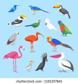 Cartoon Color Exotic Bird Icon Set Wildlife Tropical Jungle Concept Flat Design. Vector illustration of Birds Icons