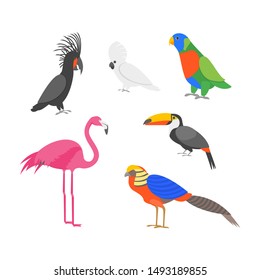Cartoon Color Exotic Bird Icon Set Include of Ara and Flamingo Wildlife Tropical Jungle Concept Flat Design. Vector illustration of Birds Icons