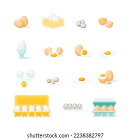 Cartoon Color Fresh and Boiled Eggs Icons Set Concept Flat Design Style. Vector illustration of Egg in Cardboard Box Icon