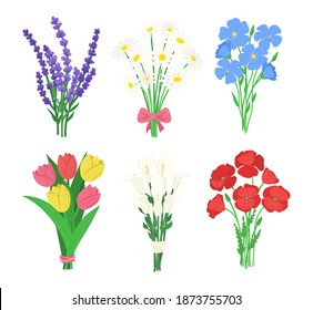 Cartoon Color Fresh Flowers Bouquets Set Concept Flat Design Style Include of Chamomile, Tulip and Poppy. Vector illustration