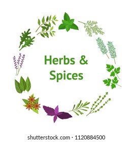 Cartoon Color Herbs Spices Banner Card Circle Aroma and Flavor Ingredient of Food Concept Flat Design Style. Vector illustration of Condiments