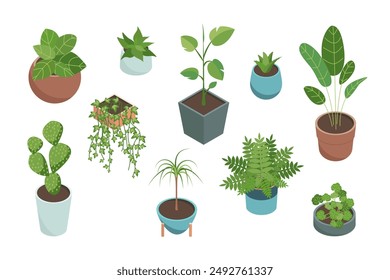 Cartoon Color House Plants Set 3d Isometric View Include of Cactus, Philodendron and Succulent. Vector illustration