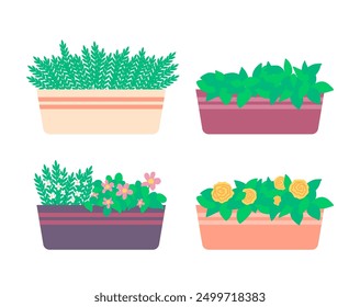 Cartoon Color Indoor Plant Flowers Box Set Concept Flat Design Style. Vector illustration of Blooming Houseplants